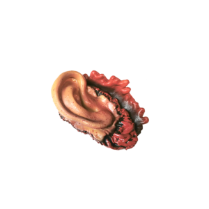 BODY PARTS - Severed Ear